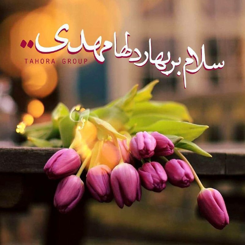 بوی نرگس عطریاس شیعیان مقیم آمریکا: سلام آقای خوب من ، مهدی جاندوباره صبح و دوباره سلام ...دوباره آرمیدن در پرنیان یاد و مهر شما ...دوباره پرگشودن در آسمان 