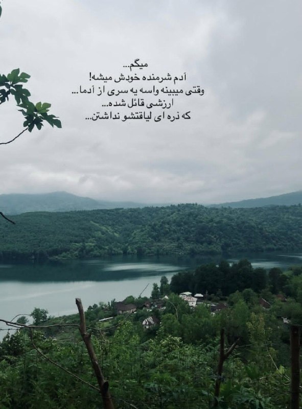 "دراموفین: 💜 💜