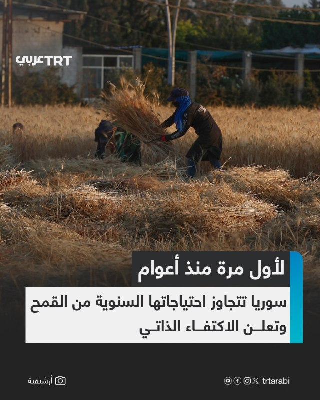 תאגיד הדגנים הסורי הודיע ביום רביעי כי סוריה השיגה עצמאות בחיטה לראשונה מזה שנים, לאחר שהכמויות שהתקבלו מיב…