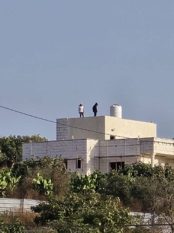 מתנחלים יושבים על גג בית בפאתי הכפר טל, מדרום-מערב לשכם.