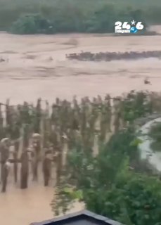 הצפות בסין: 900 קוברות ברחו מחוות נחשים; 39 הרוגים בסערה טרופית