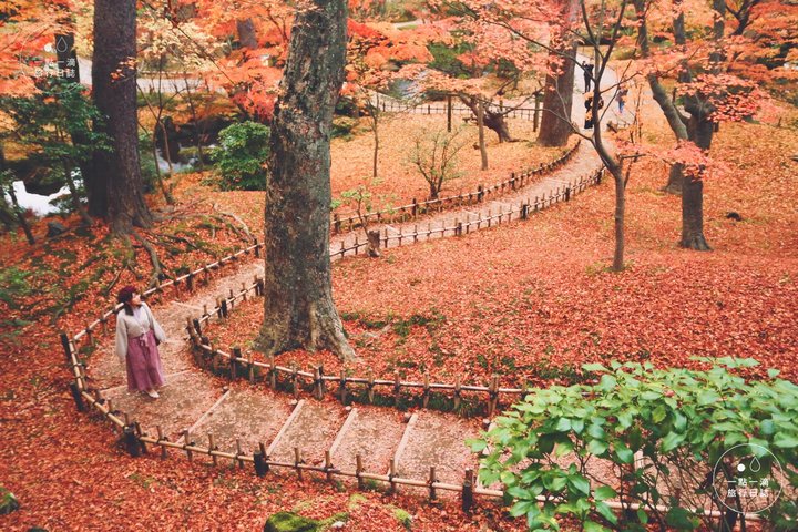 日本北陸自駕遊｜日本三大名園之一！秋遊「兼六園」賞紅葉