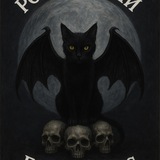 🖤 Розыгрыши от Fallen Cats & Xfight 🖤