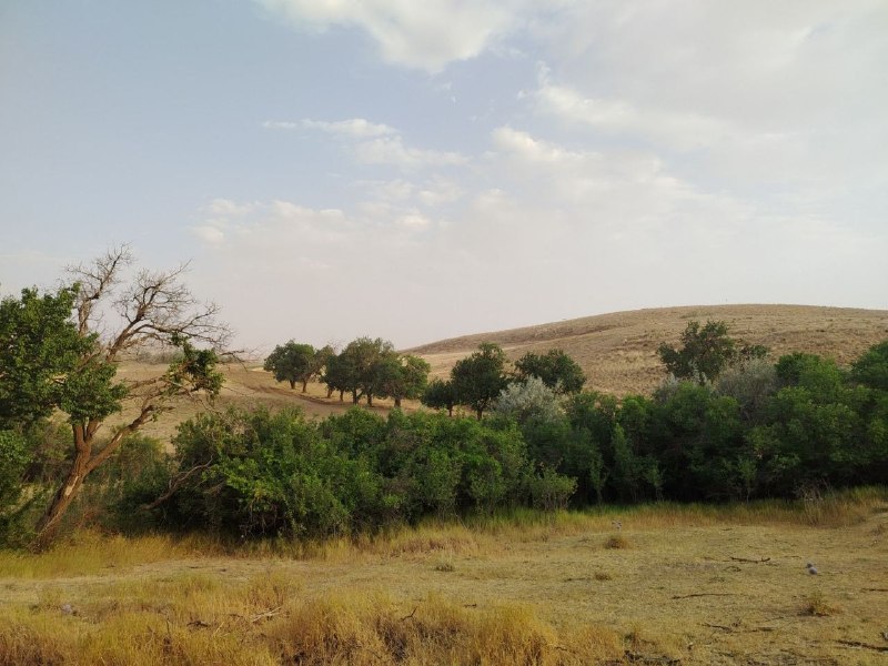 کانال رسمی روستای ده کوثرdehkoosar@: رسانه پست