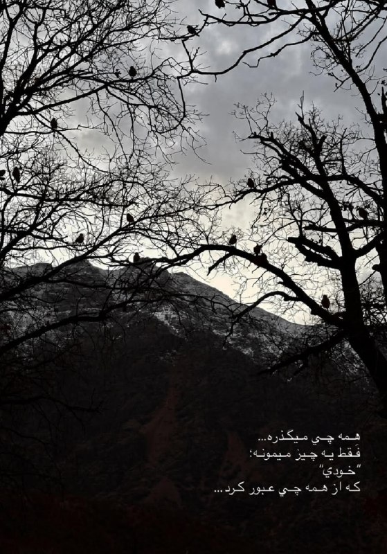 AxProfile | عکس پروفایل: · · ─ @ax_proftel ─ · ·