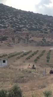 סיורים למתנחלים ליד כפר התיירות חדד בג'נין