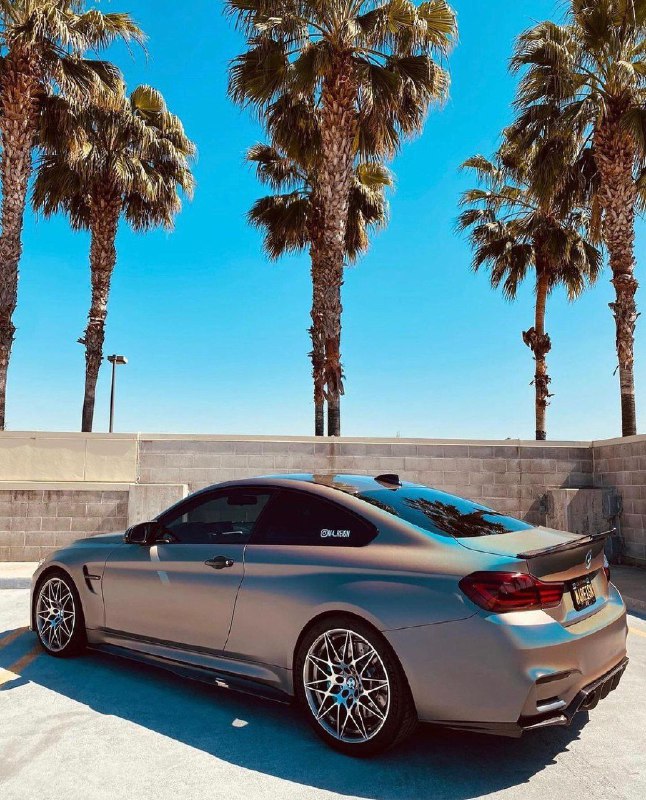 https://t.me/bmw_mpower_club