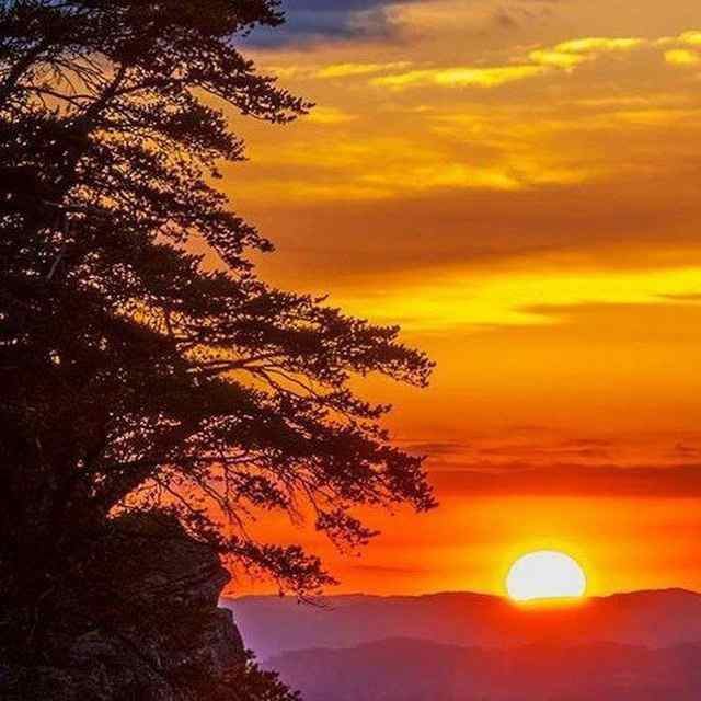 حَوّای‌ بی تو: رسانه پست
