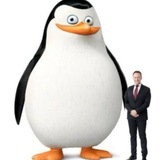 Стремилешкинс