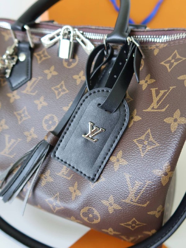 Louis Vuitton Louis Vuitton Speedy 30, фото 4