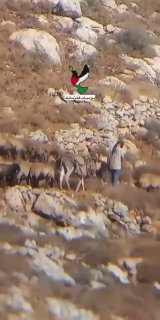הכיבוש נהרס והמתנחלים מתרחבים...
