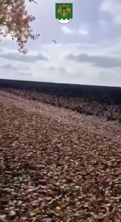 אוקראיני טס מעבר לגבול עם מולדובה במצנח רחיפה ממונע האיש נמלט מכיכר לרפובליקה באמצעות מצנח רחיפה ממונע. לאח…