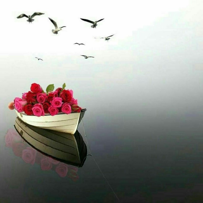 🌹👌سخنان ناب و پند آموز👌🌹: 🌸نیازی نیست سعی کنید همه را از خود راضی نگه دارید و نظر همه را جلب کنید ، وقتی به انتهای زندگی می رسید در برابر خدا جواب
