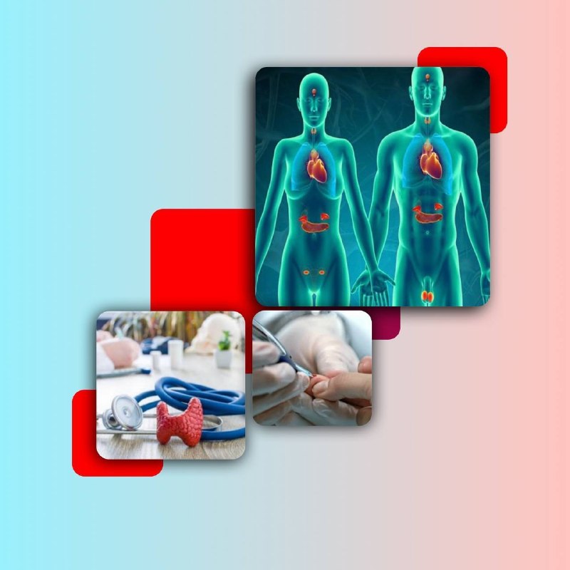 کانال hantv اندیشه , شهریار , ملارد , فردیس: آغاز به کار مطب فوق تخصص غدد و متابولیسم در اندیشه 🩺بسیار خرسندیم به اطلاع شما برسانیم که مطب خانم دکتر آتوسا معتقدی لار
