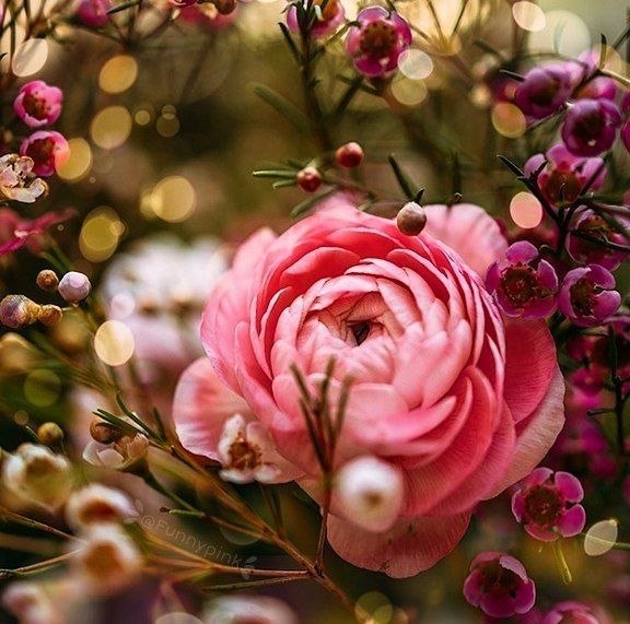 🍃﷽🍃 سنگ صبور🍃﷽🍃: 🌸خوب یا بـد دفتر ⭐️امروز هم بسته شد🌸بـه امـیـد فــردایـی ⭐️زیـبـاتـر از امــروز🌸شـب و روزتــون ⭐️پـراز اتفاقات قـشنگ🌸شبت