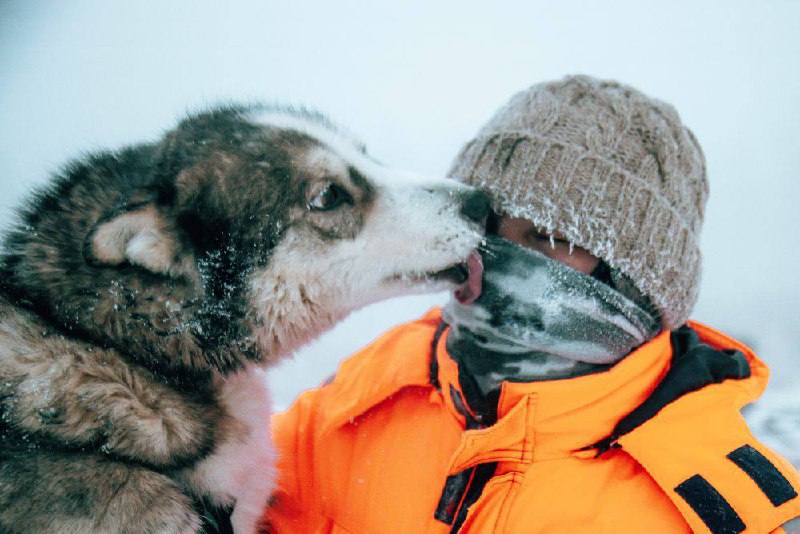 Самые низкие температуры на планете за минувшие сутки зафиксированы в трех регионах Якутии, рассказали ТАСС в Гидрометцентре РФ. фото