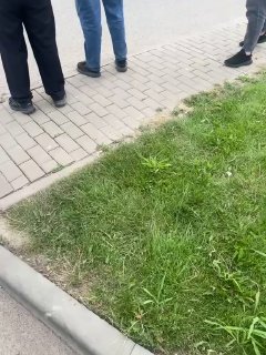 В торговом центре West Mall в Краснодаре совершено нападение на людей, утверждают очевидцы.По предварительным данным, могла погибнуть женщина. На одном из видео якобы запечатлена реакция ее супруга — мужчина кричит, сидя в машине.Также появилось видео с за
