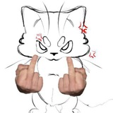 Щит пост Мемного кота🤓