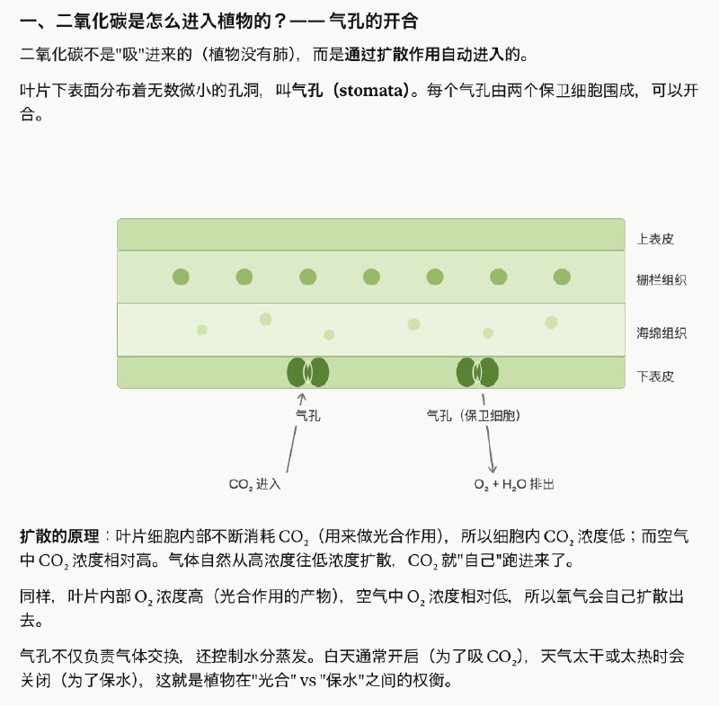 Claude 是真的好用，这也是官方敢随便封号的原因，有底气，你不用，有的是人用