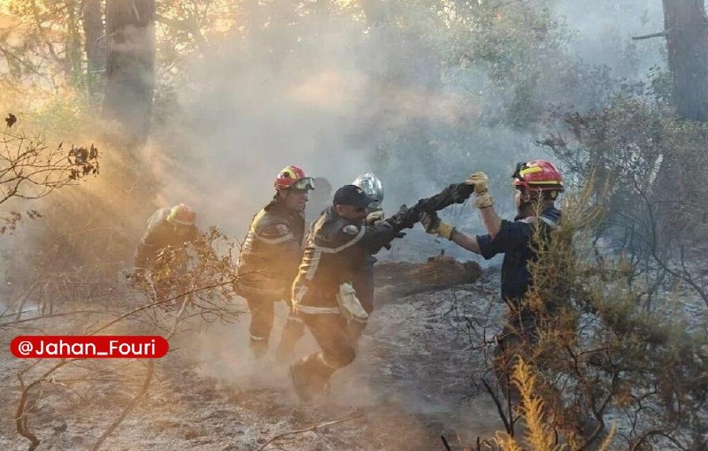 جهان بین‌الملل فوری🌍: مرگ ۱۲ الجزایری در آتش‌سوزی‌ جنگلی🔹وزیر کشور الجزایر اعلام کرد که ۱۲ نفر در نتیجه آتش‌سوزی‌های جنگلی که چندین منطقه از ک