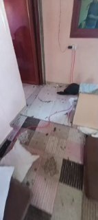 ונדליזם והרס שנגרמו על ידי כוחות הכיבוש לאחר שפשטו על בית במהלך ההסתערות על העיירה קבאטיה שמדרום לג'נין.