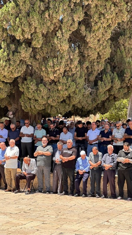 רשת חדשות ירושלים