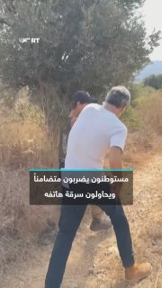 They tried to steal his phone. Settlers beat an activist in solidarity with Palestinian farmers during the olive harvest season, today, Friday, in the village of Deir Ibazi, west of Ramallah, in the occupied West Bank.
