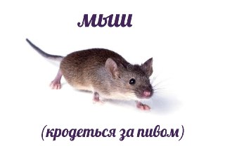 Одиночество вызывает у мышей тягу к алкоголю, выяснили учёные: https://lentach.media/QSg7c