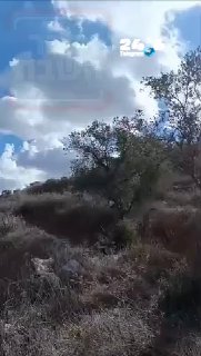 🇮🇱 The video records the moments when the stones were thrown at the shepherd, who was moderately injured News: Shabbat Square news.