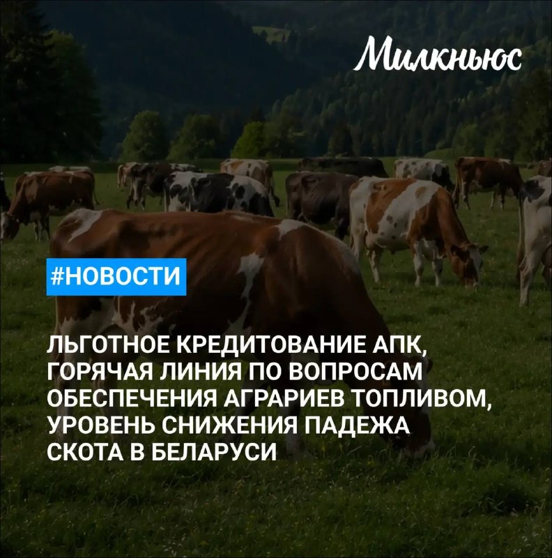 Минсельхоз обновил правила льготного кредитования АПК
