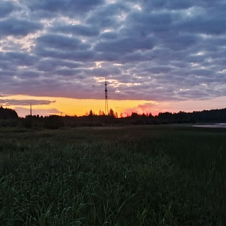 Малая Вишера чатик