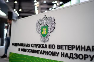 Россельхознадзор потребовал уничтожить серию вакцин «Мультикан-8» после массовой гибели собак  Россельхознадзор предписал компании «Ветбиохим» изъять из обращения и уничтожить 20-ю серию вакцины для собак «Мультикан-8». Производитель должен представить док