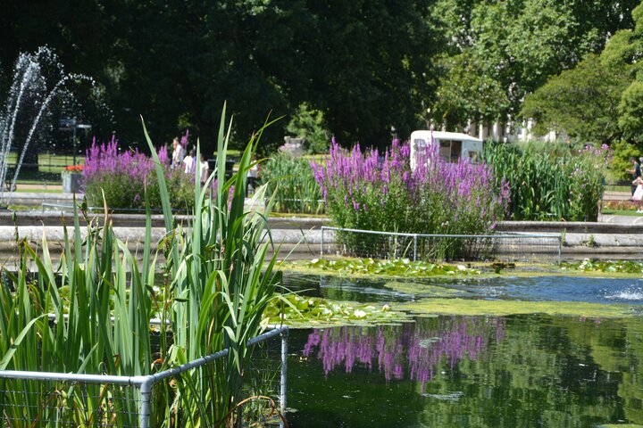 艷陽下的肯辛頓花園