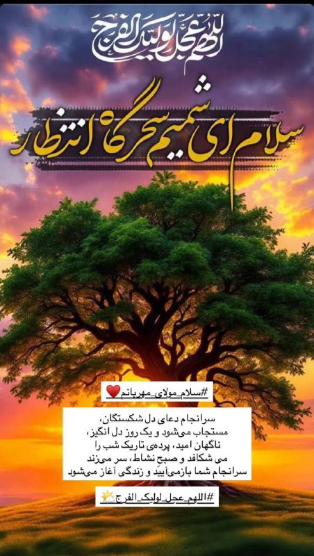 ذڪـر رۅزانـہ: ‌‌‌‌‌‌‌‌‌‌‌‌‌‎‌‌‌‎‌‌‌‌‎‌‎‌‌‎‌‌‎‌‌‎‌‎‌‌‎‌‎‌‌‌‌‎‌‌‌‌‌‎‌‌‌‌‎‌‌‌‎‌‎‌‌‌‎‌‎‌‌‎‌‎‌‎‌‎‌‌‎‌‌‌‌‌‌‌‌‎‌‌‌‎‌‌‎‌‎‌‎‌‌‎‌‎‌‎‌‌‌‌‌‌‌‌‌‌‌‌