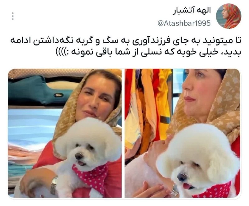 یاشیل وطن _ اخبار روز: 🔰تا میتونید به جای #فرزندآوری به سگ و گربه نگهداشتن ادامه بدید، خیلی خوبه که نسلی از شما باقی نمونه 🌏 Rubika.ir/yashi