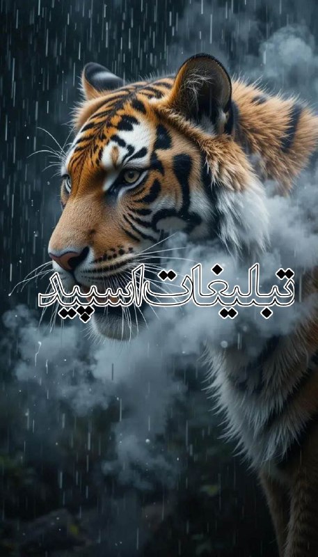 لینکدونی گروه چت سنندج: ❶﹚ نام : آتشکده لاکچری❷﹚ نو؏ تبلیغات : #telegram❸﹚ توضیحات :🌙 ᴡɪs²⁴ᴄᴀʟʟ 🎧🎵 ᴍᴜᴢɪᴋ، شِعر، دِکلمه، خوندن و حالِ خوب 🎙🎮 بازی