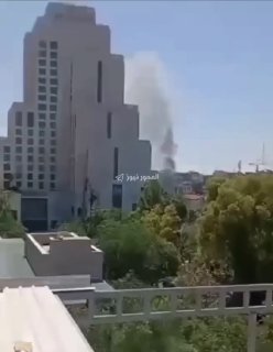 ספיר ליפקין