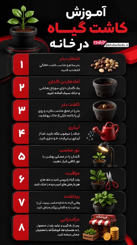 خبرفردا: 🔺 آموزش کاشت گیاه در خانه@khabarfarda_tv