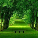 Image from a post by روانشناسی