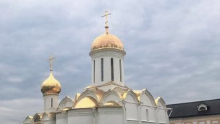 Михаил Матвеев коммент