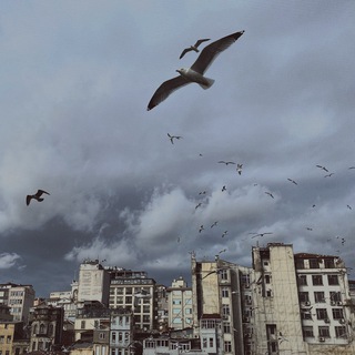 Фотографы Москва Telegram Group Link