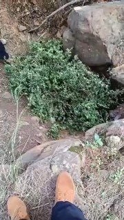 Rotating scenes from the place of the "tunnel" found in Matan! !