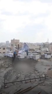 בין ההריסות נולדת תקווה.. איברהים אלדבא הפלסטיני מתריס נגד התנאים הקשים בעזה ועוסק במקצוע של גידול דבורים ב…