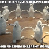 Зайцы убицы