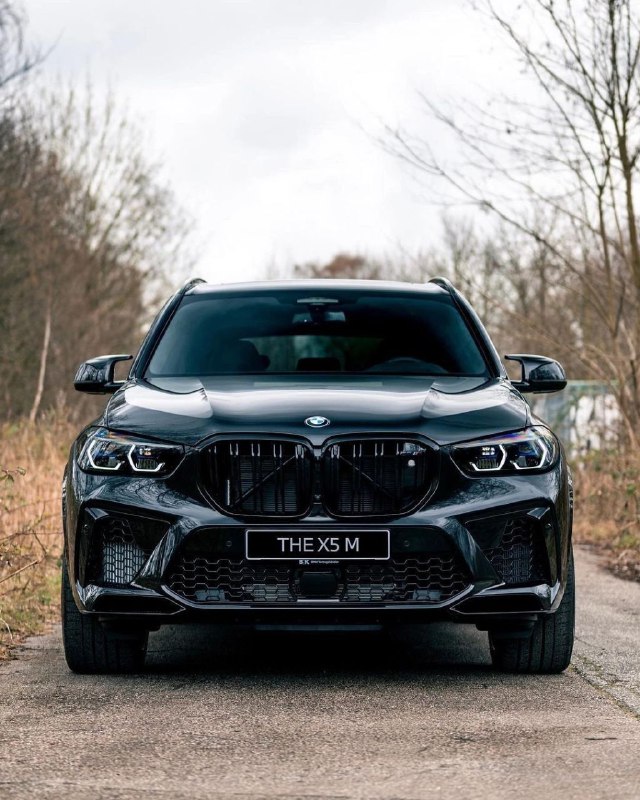 BMW X5M