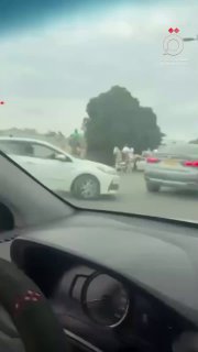 עם גמלים וחמורים בדואים בנגב הולכים להצביע בבחירות בישראל