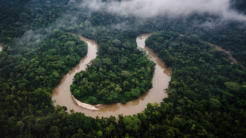 Jungle all the wayAmazon rainforest, Ecuador (© Mark Fox/Getty Images)