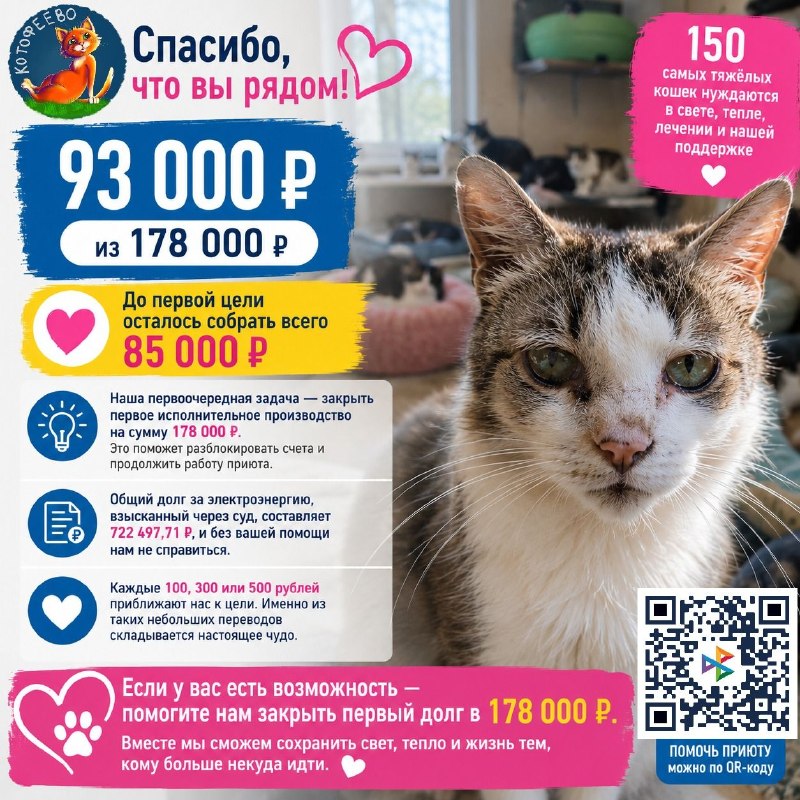 ❤️ 93 000 ₽ из 178 000 ₽

До первой цели осталось собрать...