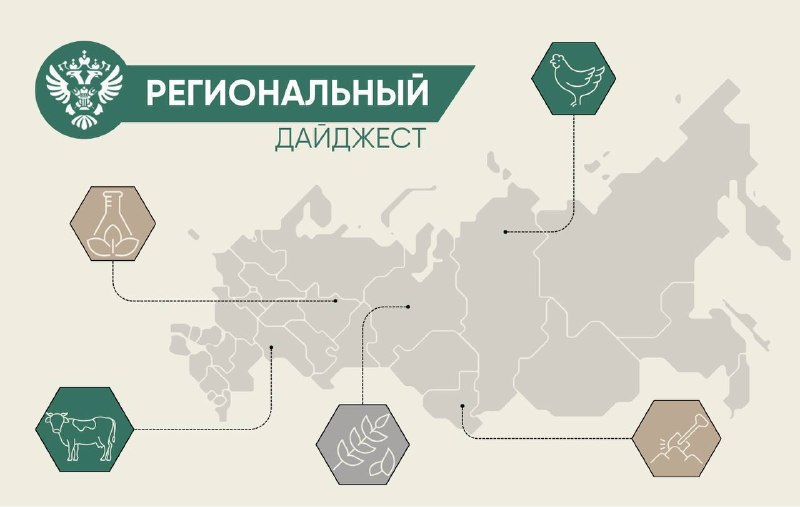 В нашей постоянной рубрике рассказываем о деятельности Россельхознадзора в регионах.