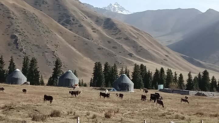 新疆獨庫公路北段的美景